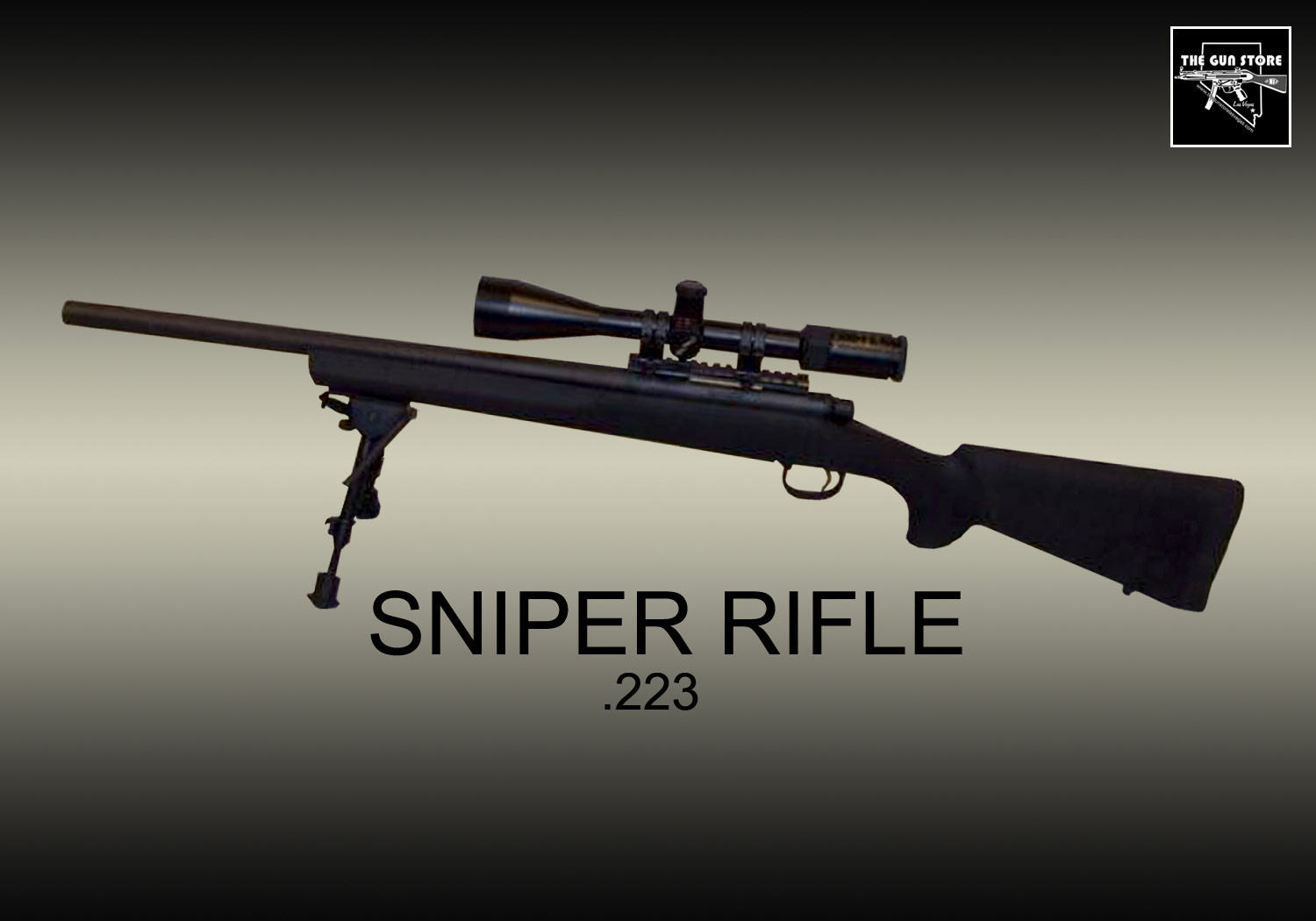 Try-a-Sniper-223.jpg