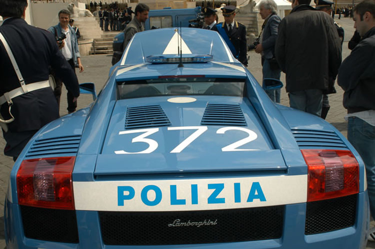 gallpol8.jpg