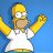 HOMER4ik